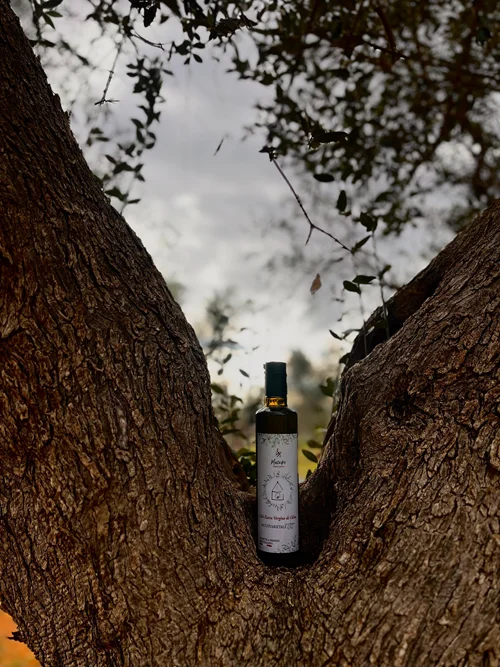 olio azienda agricola macripò