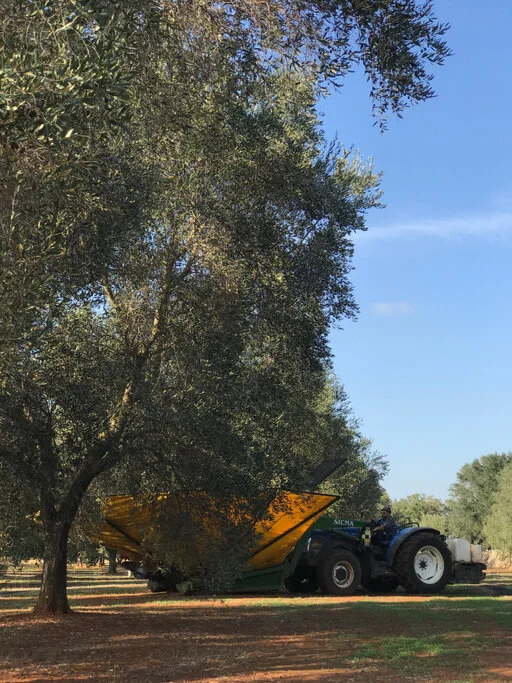 gallery foto prodotti