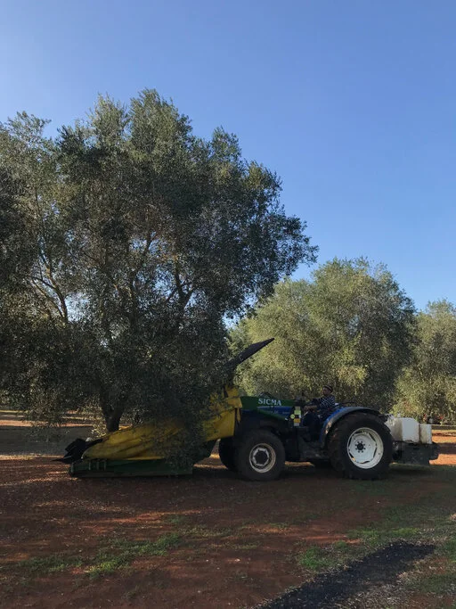 gallery foto prodotti