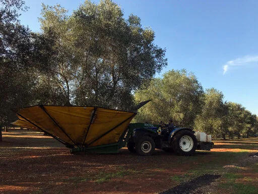 gallery foto prodotti