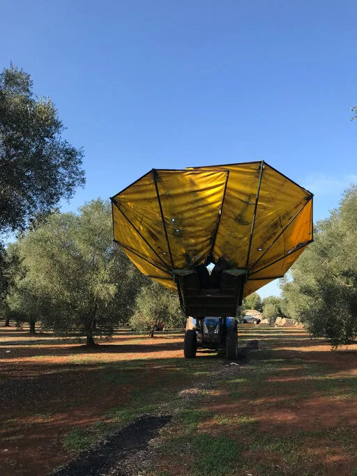 gallery foto prodotti