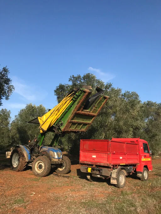 gallery foto prodotti