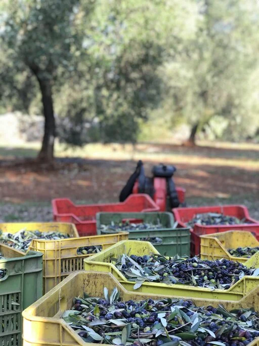 gallery foto prodotti