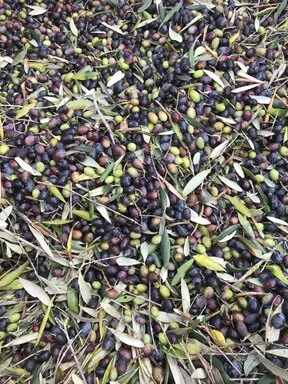 gallery foto prodotti