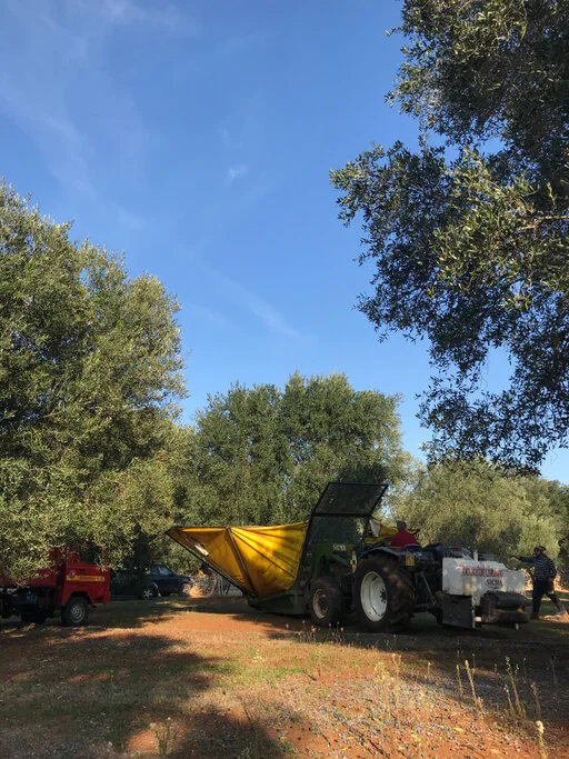 gallery foto prodotti