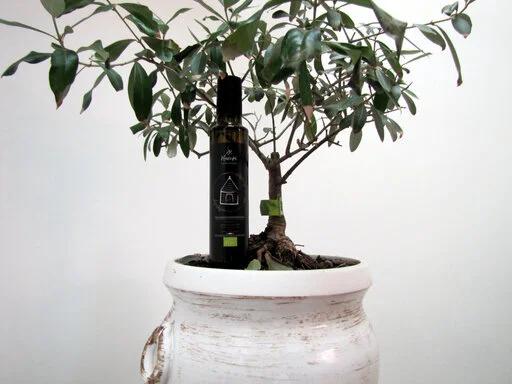 gallery foto prodotti