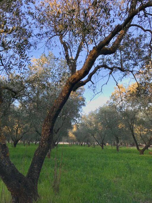 gallery foto prodotti