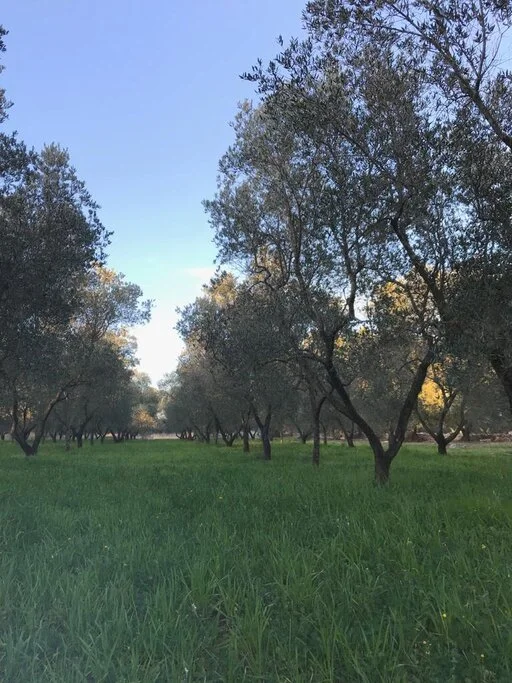 gallery foto prodotti