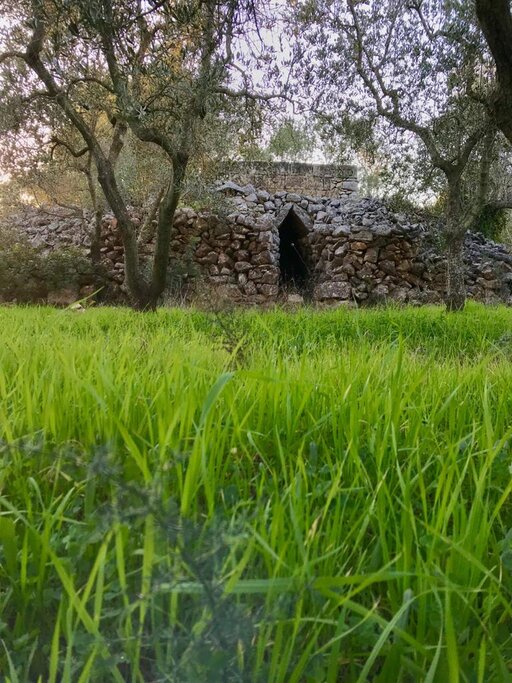 gallery foto prodotti