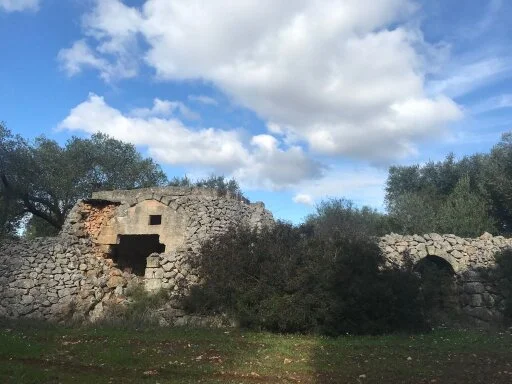 gallery foto prodotti