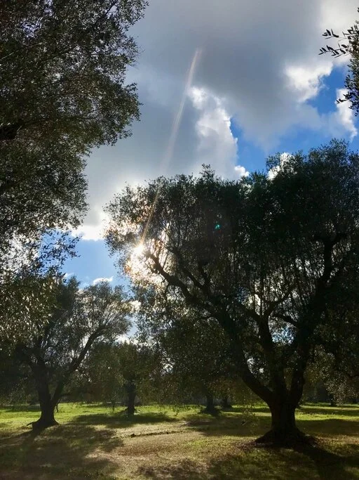 gallery foto prodotti