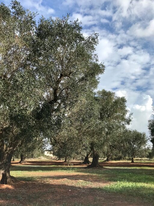 gallery foto prodotti