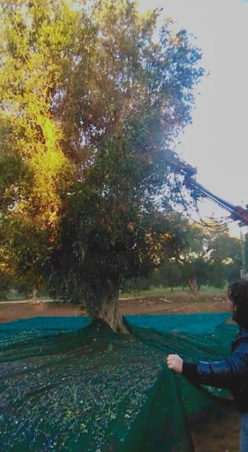 gallery foto prodotti