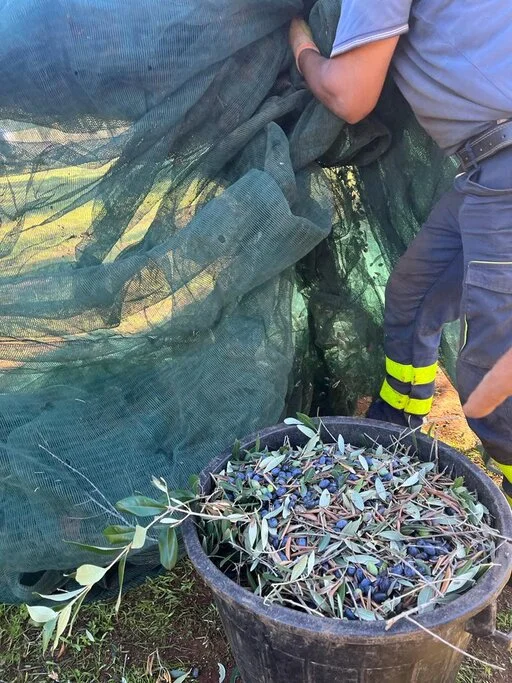 gallery foto prodotti