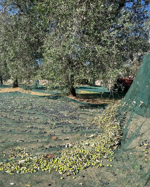 gallery foto prodotti