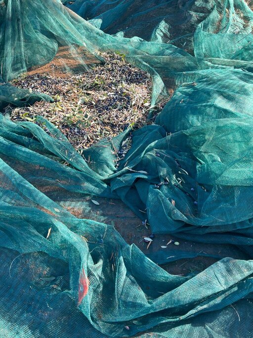 gallery foto prodotti