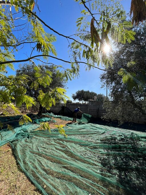 gallery foto prodotti