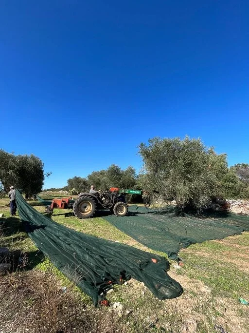 gallery foto prodotti