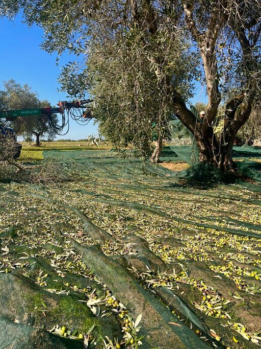 gallery foto prodotti