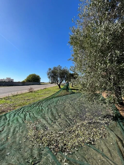 gallery foto prodotti