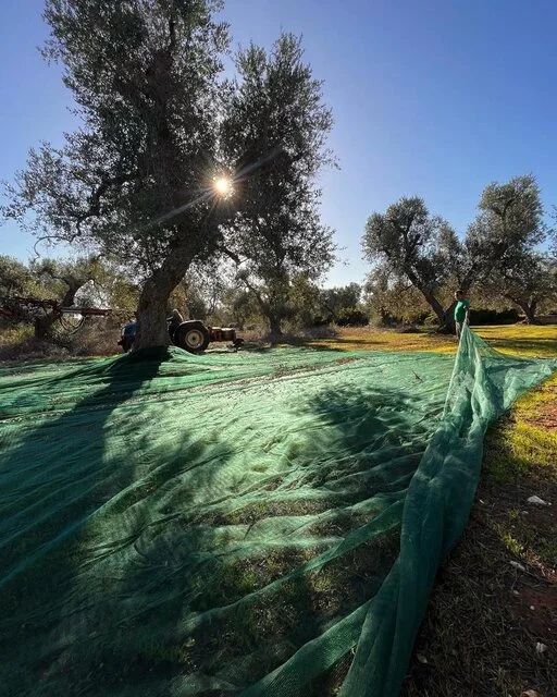 gallery foto prodotti