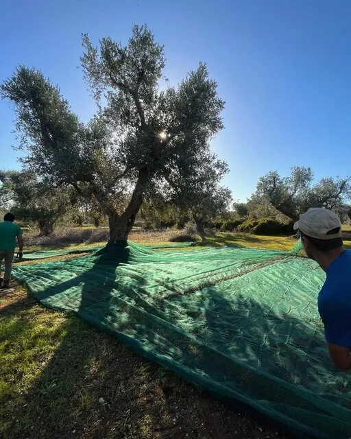 gallery foto prodotti