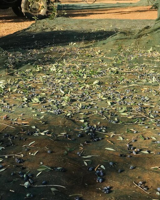 gallery foto prodotti