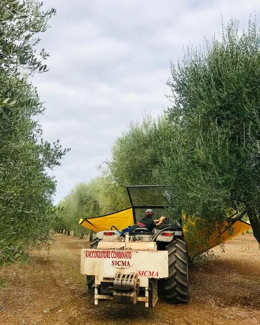 gallery foto prodotti