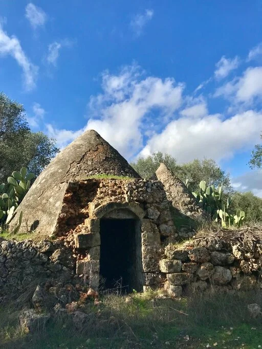 gallery foto prodotti