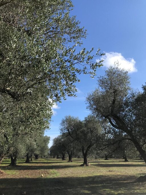 gallery foto prodotti