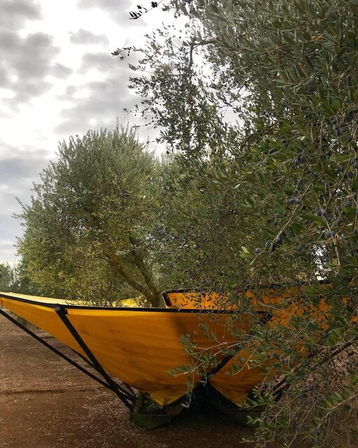 gallery foto prodotti