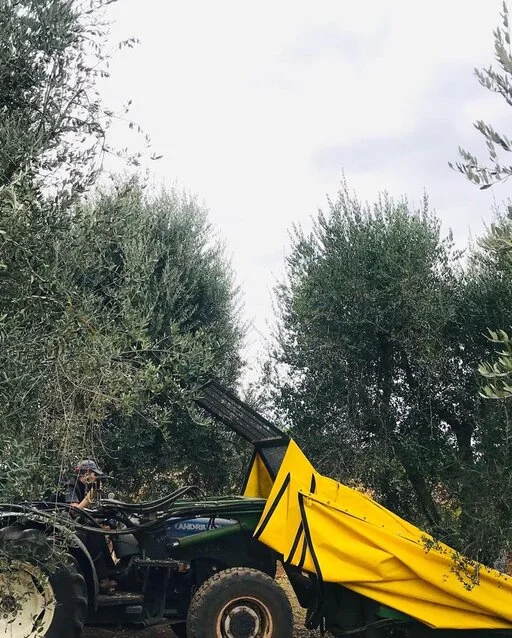 gallery foto prodotti