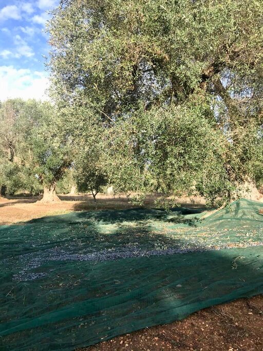 gallery foto prodotti