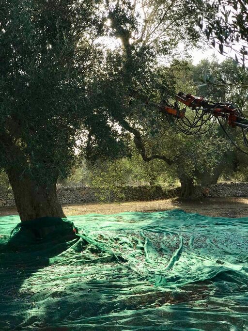 gallery foto prodotti