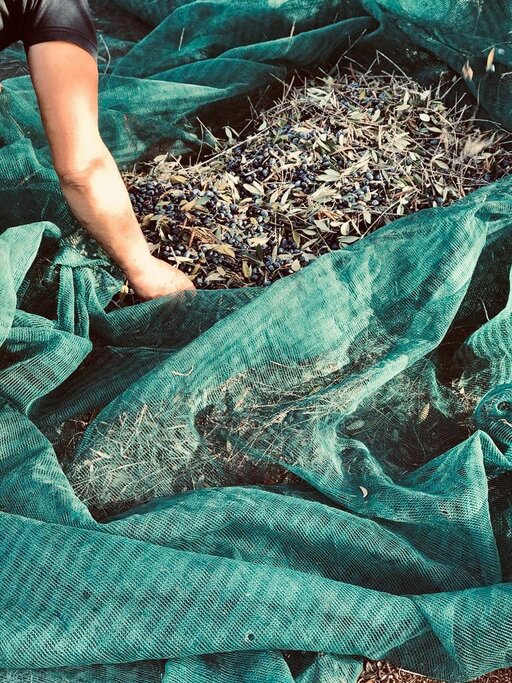 gallery foto prodotti