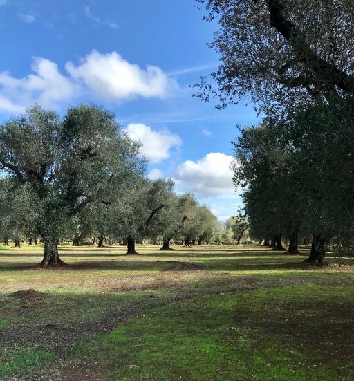 gallery foto prodotti