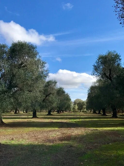 gallery foto prodotti