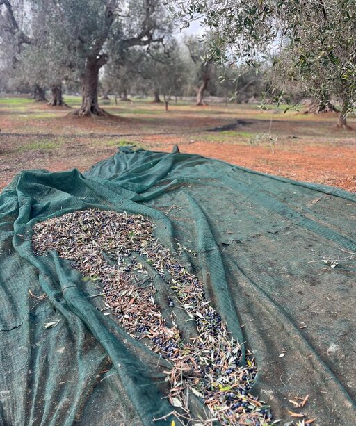 gallery foto prodotti