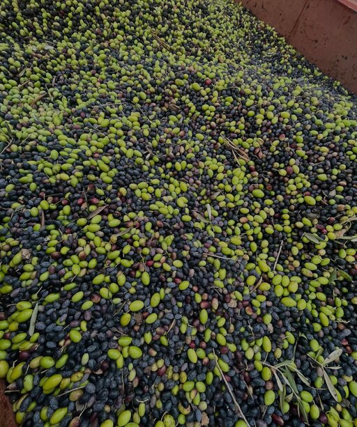 gallery foto prodotti