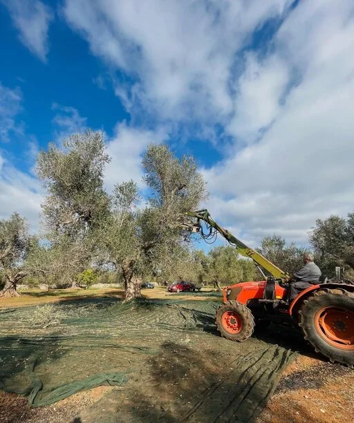 gallery foto prodotti