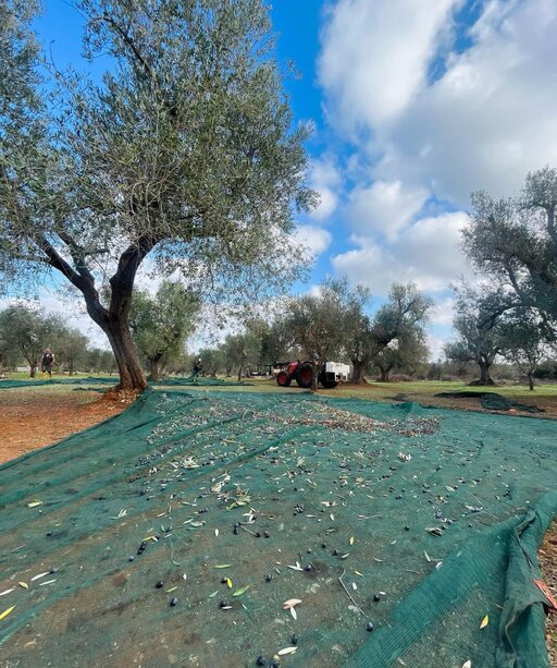 gallery foto prodotti