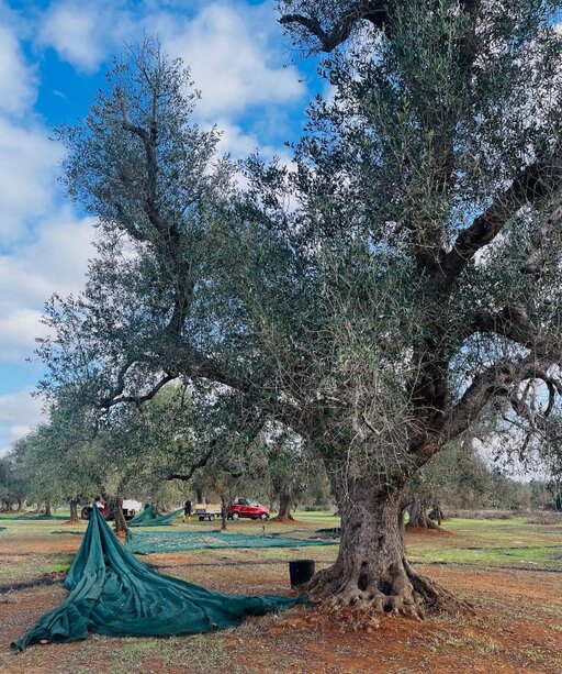 gallery foto prodotti