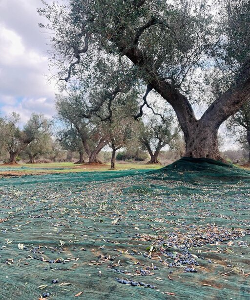 gallery foto prodotti