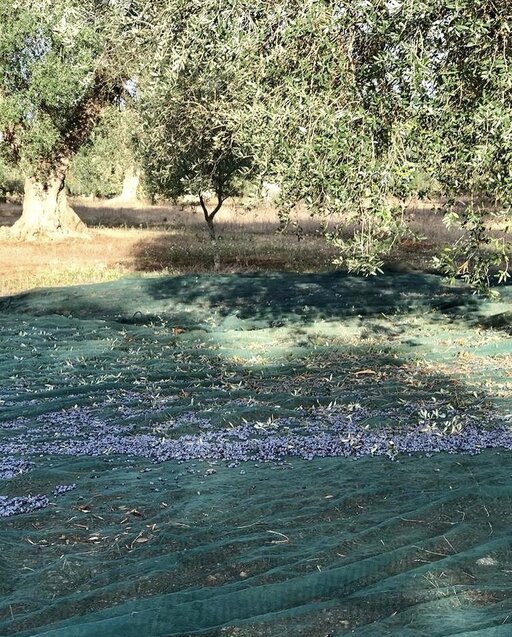 gallery foto prodotti