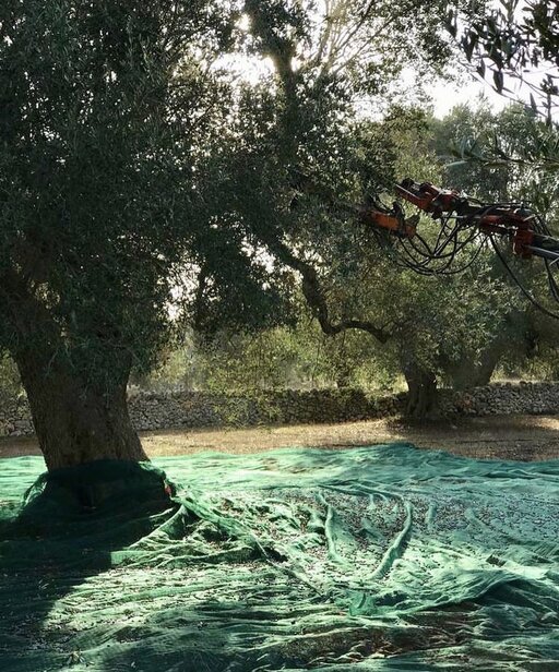 gallery foto prodotti